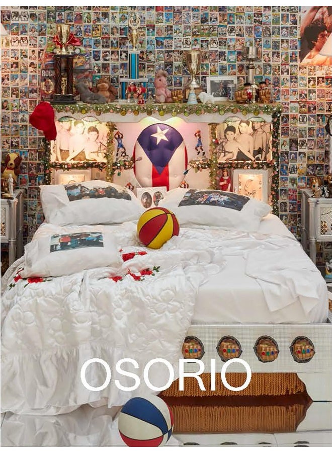 Pepón Osorio: My Beating Heart / Mi corazón latiente  - Image 2