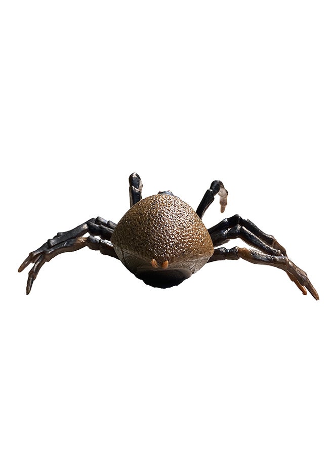 Galaxy Toys - Galaxy Realistic Spider Toy - Detailed Brown Spider Figurine with Textured Abdomen And Slender Legs | Lifelike Model for Kids And Collectors - Image 1