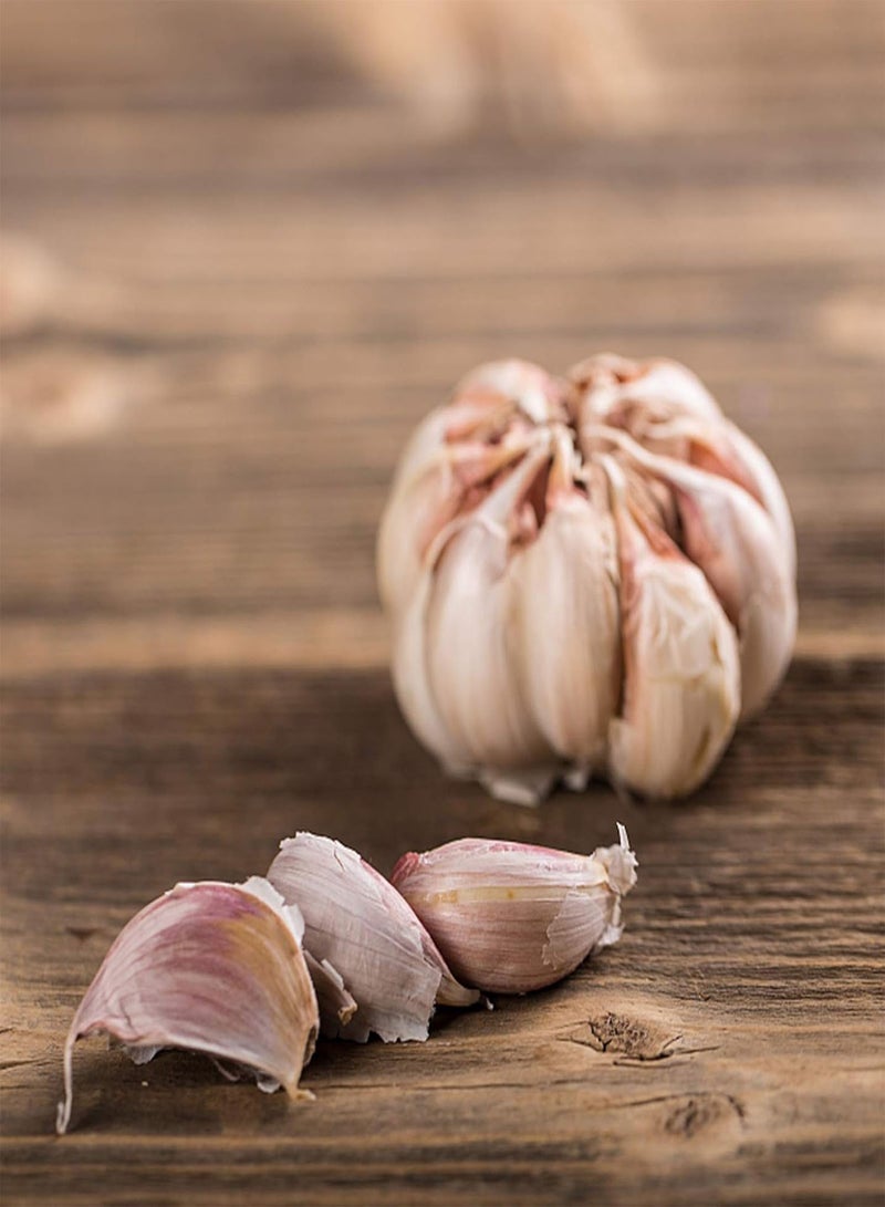 GGOOT 1 Bag Garlic Seeds Warm Nutritious Biennial Vegetable Natural Liliaceae Seeds Garden Garlic Seeds - Image 3