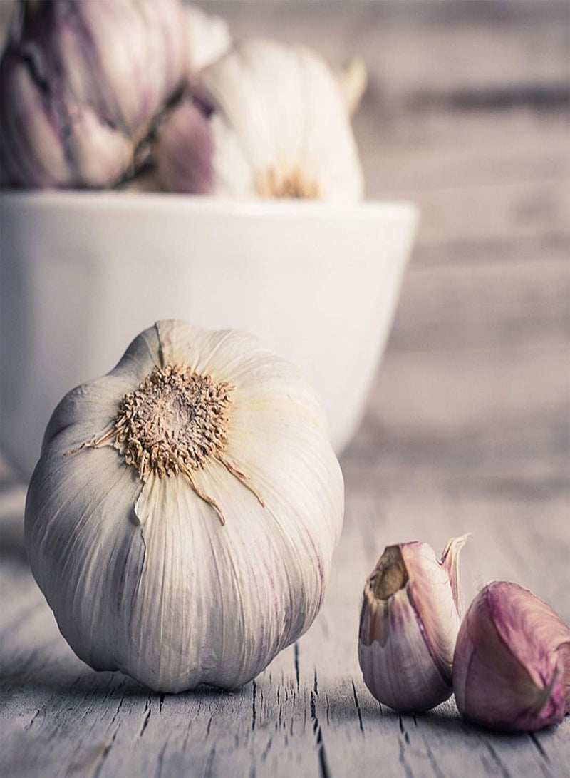 GGOOT 1 Bag Garlic Seeds Warm Nutritious Biennial Vegetable Natural Liliaceae Seeds Garden Garlic Seeds - Image 5