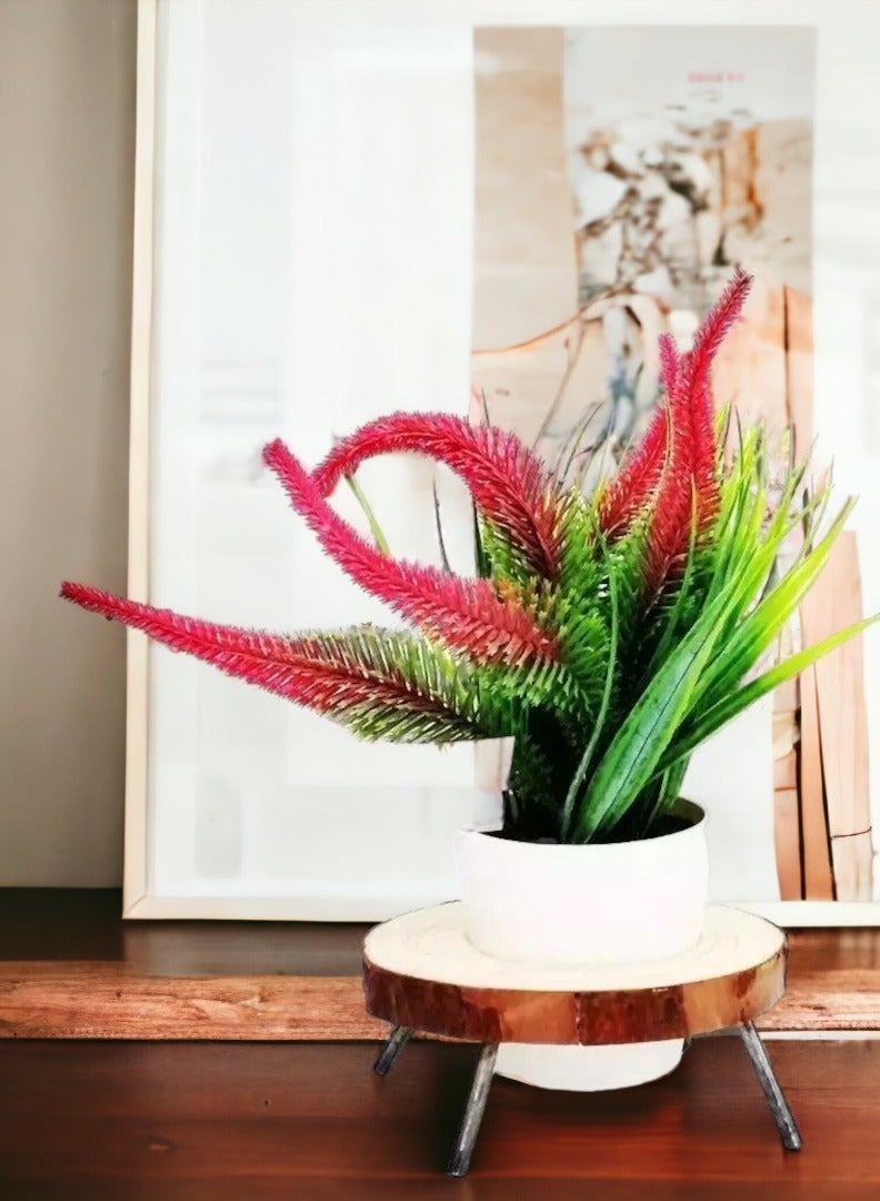 ارك ورد صناعي في اصيص ابيض على قاعدة خشبية بارجل  معدنية - Image 5