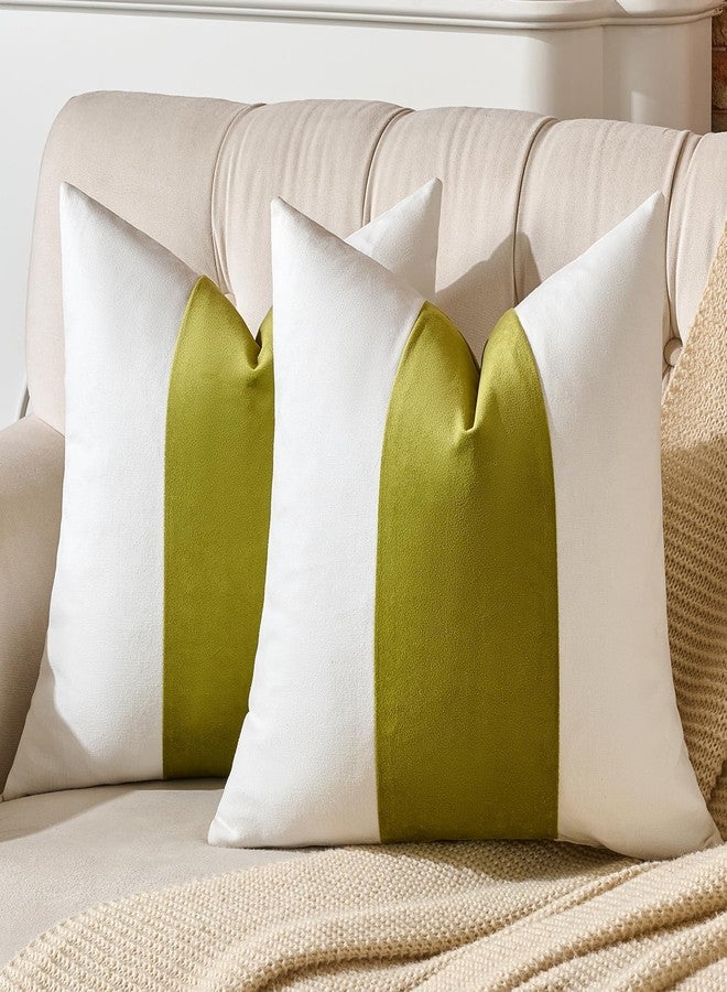 AmHoo Pack of 2 Velvet Panel Cotton Pillow Covers Decorative Pillowcase Cushion for Couch Sofa Bedroom 18 x 18-Inch Spinach Green - Image 2
