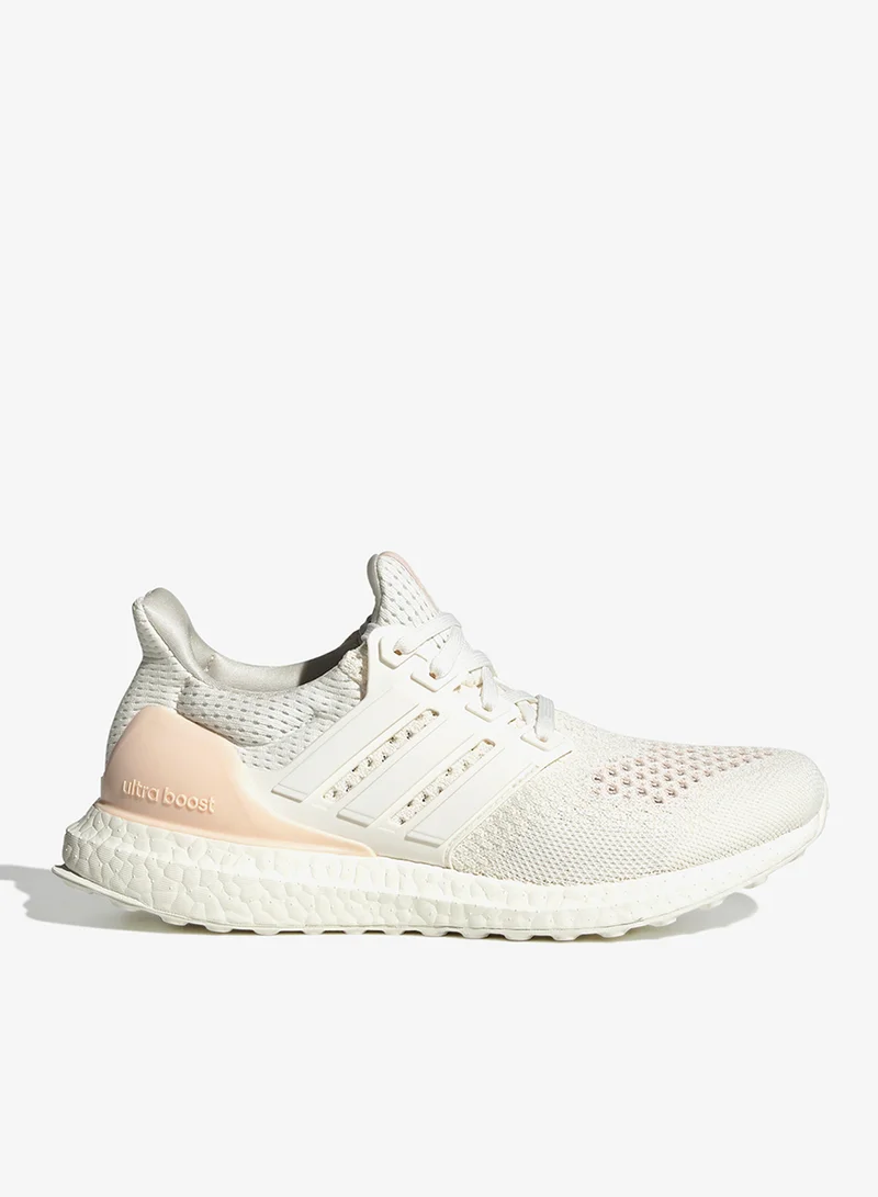 Adidas Ultraboost 1.0