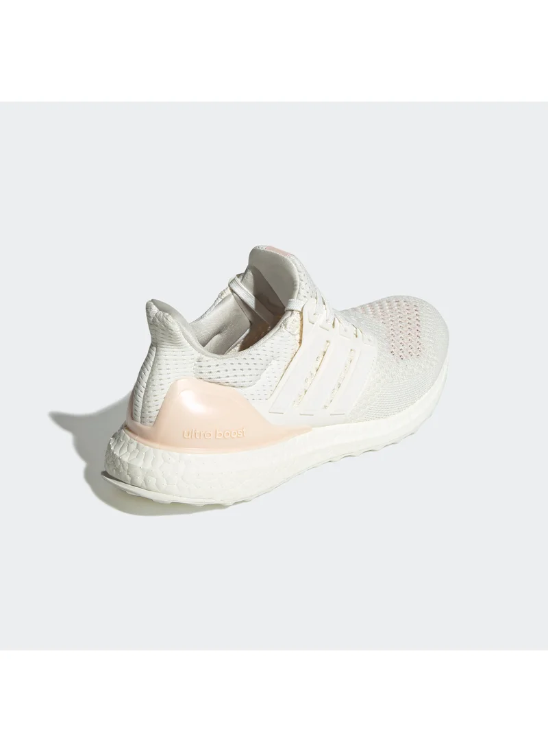 Adidas Ultraboost 1.0