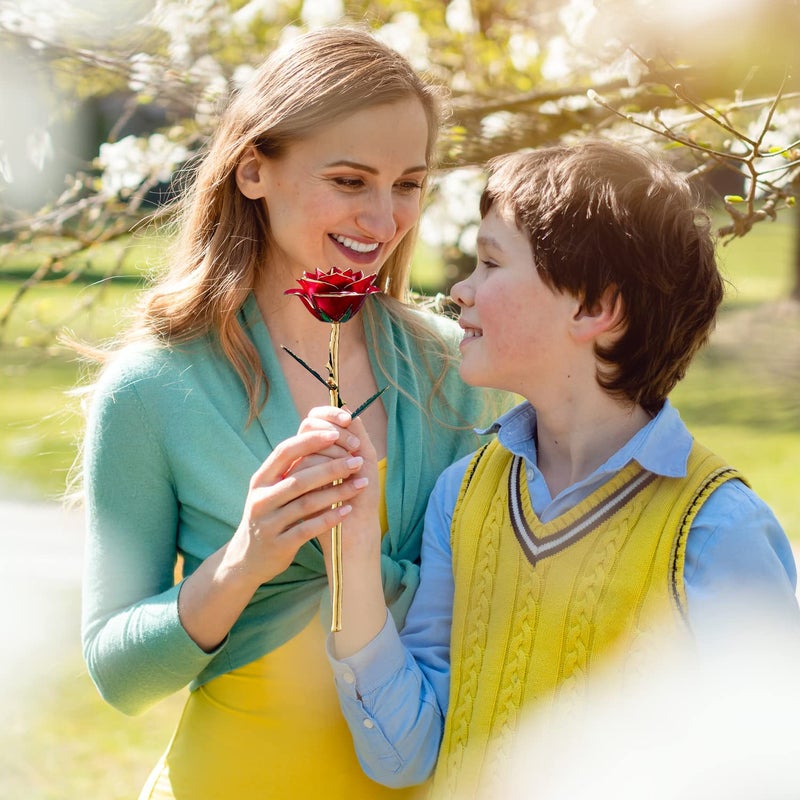 SW Anniversary Birthday Gifts for Women Forever Gold Dipped Rose Christmas Women Gifts 24k Gold Plated Eternal Flower Love Romantic Rose Gifts Box for Anniversary Valentines Day Mothers Day Birthday(red) - Image 5