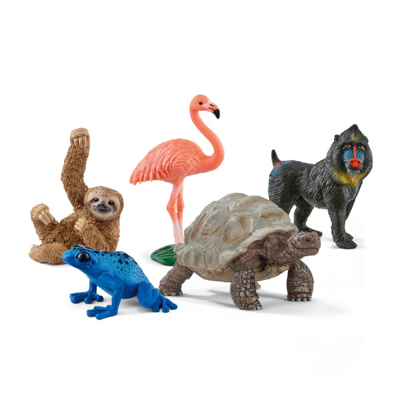 Schleich Wild Life 5PC Exotic Animal Starter Playset Figurine Bundle With Flamingo Sloth Frog Giant Tortoise and Monkey Figures for Boys and Girls Realistic Animal Toys Kids Ages 5 77590 - Image 2