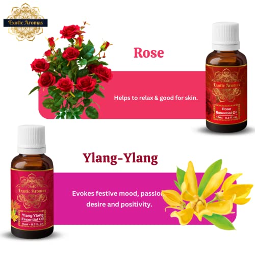 Exotic Aromas Essential Oil - Lavender, Sandalwood, Jasmine, Rose, Ylang Ylang (Pack of 5) - Image 3