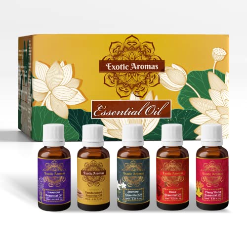 Exotic Aromas Essential Oil - Lavender, Sandalwood, Jasmine, Rose, Ylang Ylang (Pack of 5) - Image 1