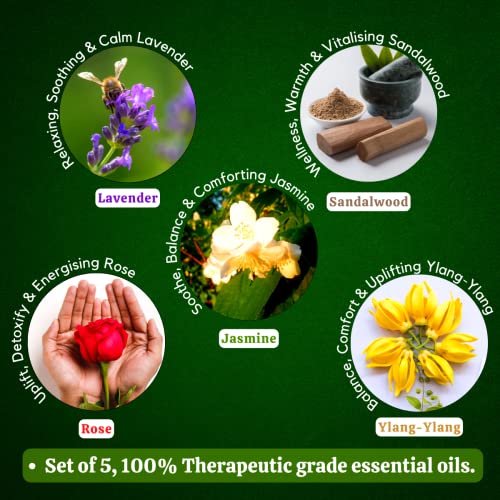 Exotic Aromas Essential Oil - Lavender, Sandalwood, Jasmine, Rose, Ylang Ylang (Pack of 5) - Image 5