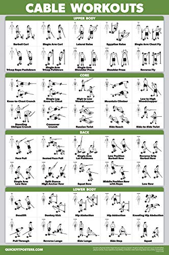 Palace Learning QUICKFIT Workout Poster Cable Machine, an Exercise Chart for Cable Training Station, Laminated, Gym, 18" x 24" - Image 1
