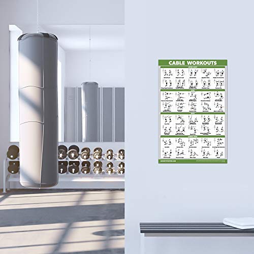 Palace Learning QUICKFIT Workout Poster Cable Machine, an Exercise Chart for Cable Training Station, Laminated, Gym, 18" x 24" - Image 5