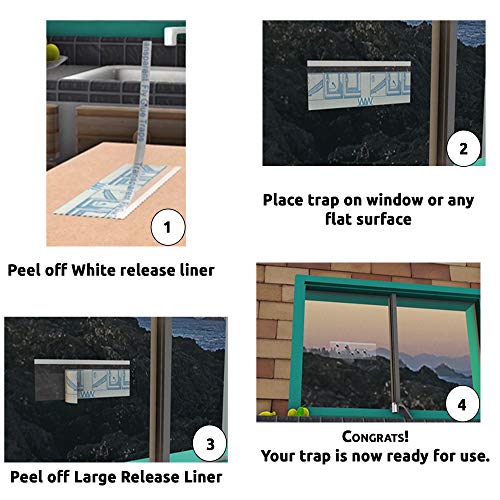 W4W Flies & Bug Window Fly Trap - Indoor / Outdoor Non Toxic Clear Window Fly Traps - 16 Pack - Image 3