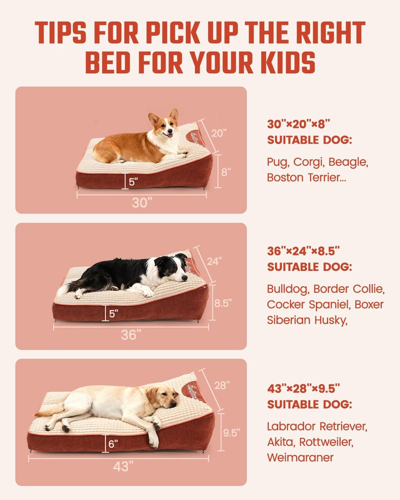 Pawccoli Dog Beds Large Sized Dog - Comfy Flat Pet Beds with Removable Washable Cover, Orthopedic Foam Puppy Mat with Pillow Suitable for Pet Up to 65 lbs(36''Ã—24''Ã—5'') - Image 3