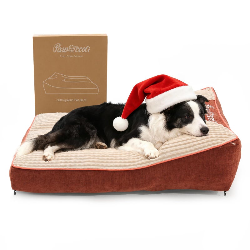 Pawccoli Dog Beds Large Sized Dog - Comfy Flat Pet Beds with Removable Washable Cover, Orthopedic Foam Puppy Mat with Pillow Suitable for Pet Up to 65 lbs(36''Ã—24''Ã—5'') - Image 1