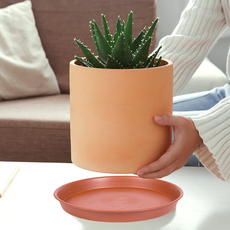 Bleuhome 6 Pack of 6 inch Plant Saucer, 4 6 8 10 12 14 16 inch Plant Saucers, Heavy Duty Plastic Plant Water Tray, Planter Drip Trays for Pot, Flower Saucers for Indoors (6 inch, Terracotta) - Image 3