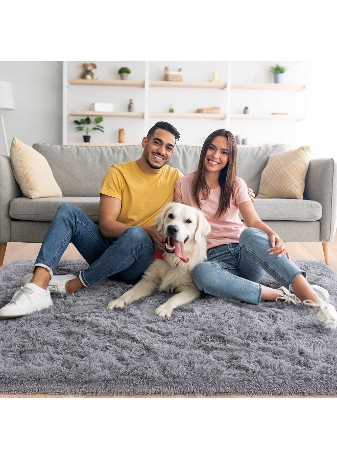 Noahas 6x9 Fluffy Grey Area Rugs for Living Room,Shaggy Rugs for Bedroom,Big Fuzzy Bedroom Carpet,Soft Large Living Room Rugs,Thick Plush Shag Rug,Comfy Nursery Kids Rug Room Decor - Image 2