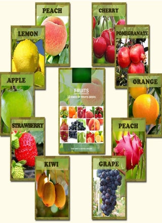 10 Varieties 5430pcs Mixed Fruit Seeds Sweet Juicy Nutritious Strawberry Lemon G Pitaya Tree Seeds for Garden Planting Harvesting Fresh Fruits - pzsku/Z3168FB158EAA1379B69DZ/45/_/1734621716/1e3ff08f-1111-435b-8910-a2905db63a2f
