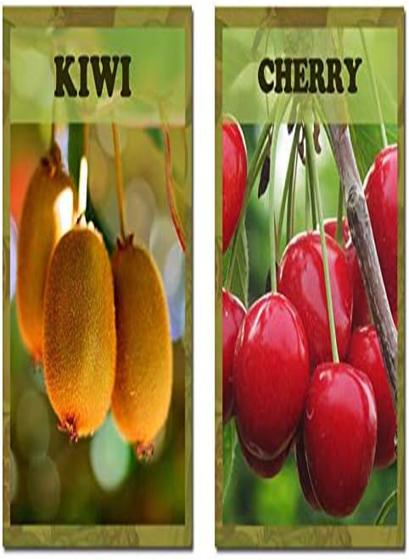 10 Varieties 5430pcs Mixed Fruit Seeds Sweet Juicy Nutritious Strawberry Lemon G Pitaya Tree Seeds for Garden Planting Harvesting Fresh Fruits