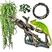 MUYG Resin Reptile Driftwood Decoration Bearded Dragon Branch Lizard Climb Habitat Decor Hanging Jungle Vines Reptiles Tank Accessories for Chameleon Snake Gecko Spider Fish Tree Frog - Image 2