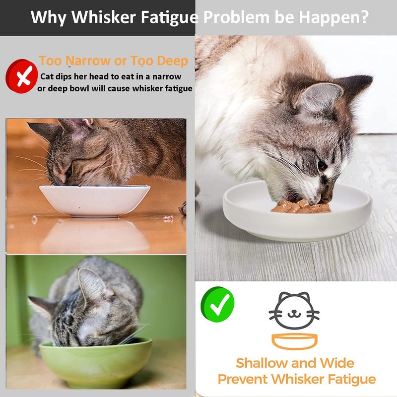 Lfpkixise Ceramic Cat Bowls,Shallow Cat Dishes for Food and Water, 6 inch Matte Finish Wide Cat Food Bowl,Whisker Fatigue Free Pet Puppy Kitten Bowl Set of 3,Dishwasher Safe - Image 5