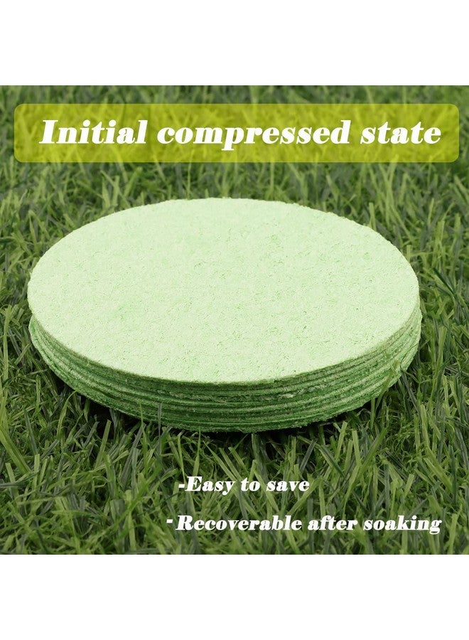 kcrygogo Hermit Crab Green Sponge Accessories for Maintaining Tank Humidity (10pcs) - Image 2