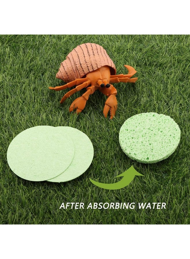 kcrygogo Hermit Crab Green Sponge Accessories for Maintaining Tank Humidity (10pcs) - Image 4