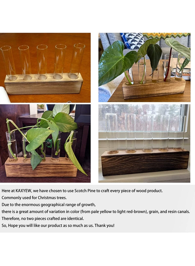 SYOSI Desktop Glass Plant Propagation Station 5 Test Tube Plant Terrarium in Wooden Stand for Hydroponic Plants Cutting Office Home Decoration - Image 5