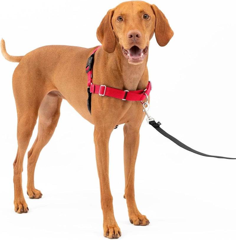 PetSafe Easy Walk Dog Harness - No Pull Design, Red/Black, Medium Size - Image 1