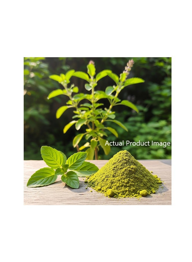 مملكة الإكسسوارات مسحوق تولسي (250 غرام) - طبيعي ونقي 100% | مناسب للشعر والبشرة | يغذي الشعر، يقلل تساقطه، ويحفز نموه | يهدئ فروة الرأس، يحسن ملمس البشرة، ويتحكم في إفراز الزيوت. - Image 4