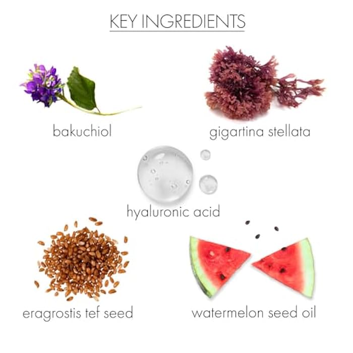 Whish Neck Firming Cream with Bakuchiol - 3D Reshaping Effect for Neck, Jawline & Chin - 3.4oz - Image 4