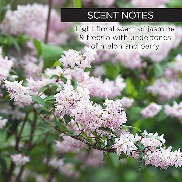 Whish Neck Firming Cream with Bakuchiol - 3D Reshaping Effect for Neck, Jawline & Chin - 3.4oz - Image 3