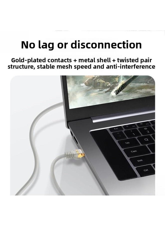 Network Cable Gigabit Household Class 6 Line Broadband Line Computer Connection Network Lengthened By 10 Meters Shielded Outdoor Waterproof 100 Megabytes-Color:Gray [e-sports Play Model] Gigabit High-speed No Lag-Line Length:10m  - Image 5