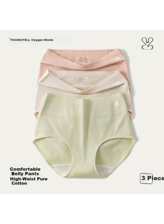 Youngyell Women's Plus Size High Waist Pure Cotton Antibacterial Extended Crotch Slimming Panties 3-pack - Image 1