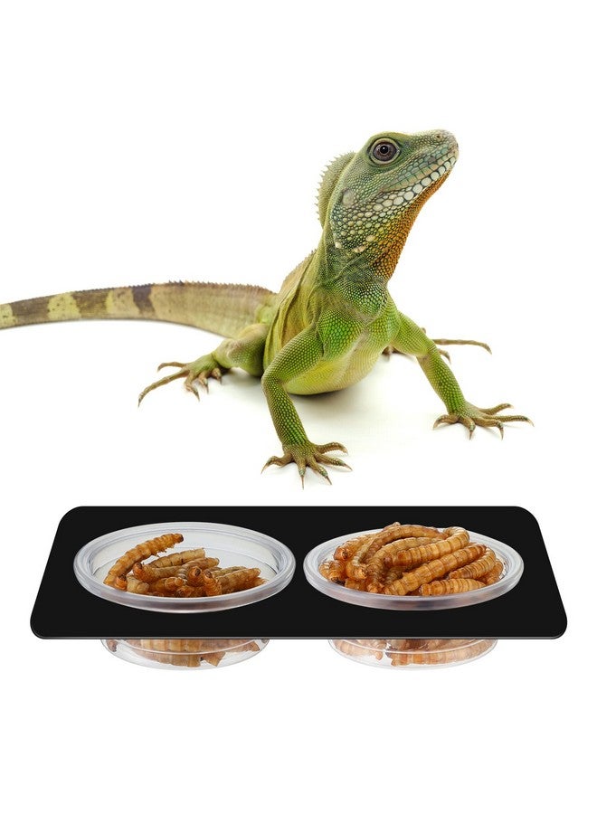 إي بوت مجموعة من 500 كوب طعام وماء للوزغ من EBOOT، أكواب تغذية بلاستيكية صغيرة، ملحقات الزواحف، وعاء ماء للزواحف، أكواب طعام للوزغ، أوعية تغذية للزواحف للوزغ والسحالي والعناكب والحيوانات الأليفة الصغيرة الأخرى (0.5 أونصة) - Image 4