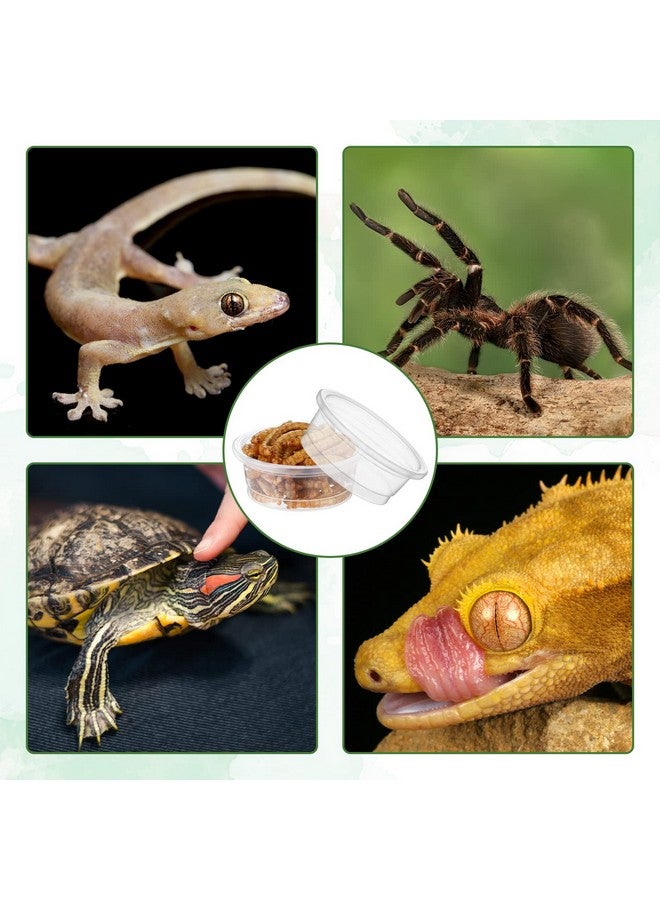 إي بوت مجموعة من 500 كوب طعام وماء للوزغ من EBOOT، أكواب تغذية بلاستيكية صغيرة، ملحقات الزواحف، وعاء ماء للزواحف، أكواب طعام للوزغ، أوعية تغذية للزواحف للوزغ والسحالي والعناكب والحيوانات الأليفة الصغيرة الأخرى (0.5 أونصة) - Image 5