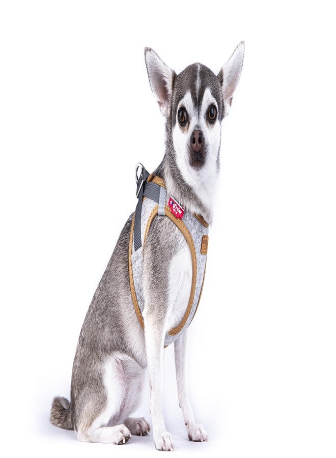 Curli Alpine curli Clasp Vest Harness Light Gray M - Image 2