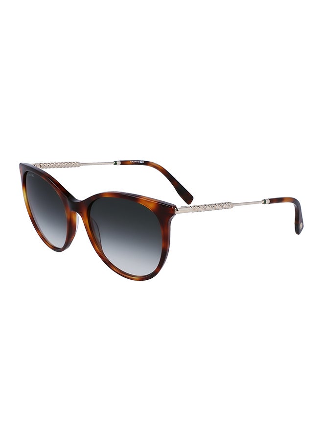 LACOSTE نظارة شمسية بيضاوية للنساء - L993S-214-5417 - مقاس العدسة: 54 مم - Image 2