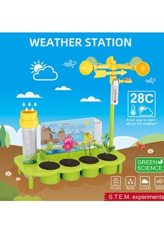 STEM Plant Ecological Weather Station Games,Science and Physics home chemical lab Educational Game for kids and It is an educational game that helps focus, creativity,Children's DIY 6+ Years  - Image 2