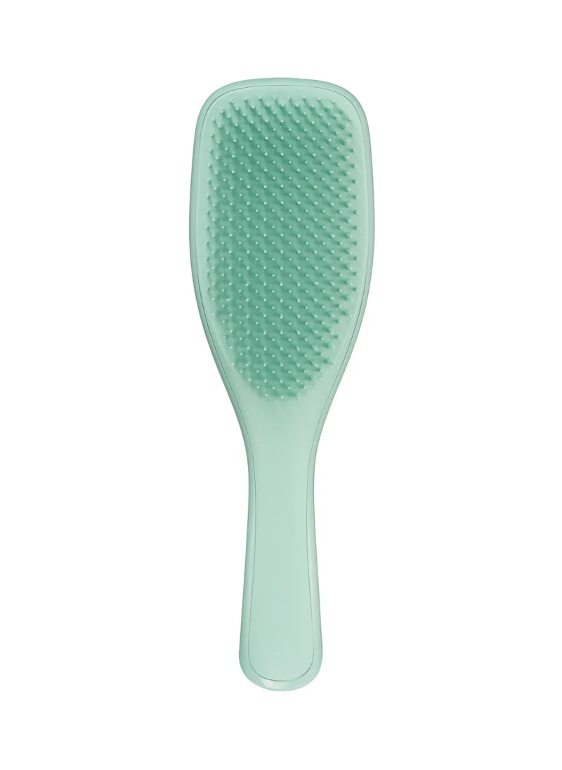 TANGLE TEEZER Detangling Hairbrush Fine & Fragile - Dark Teal