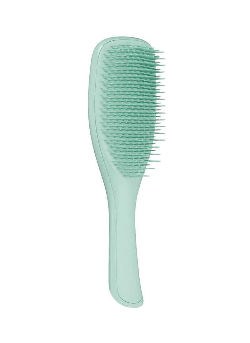 TANGLE TEEZER Detangling Hairbrush Fine & Fragile - Dark Teal