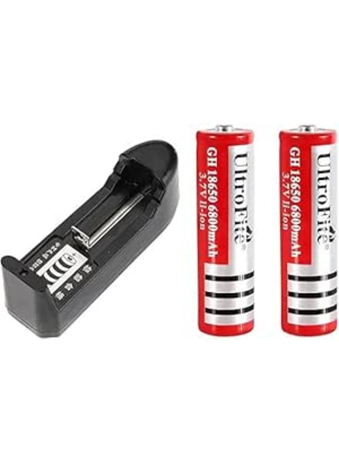 Lithium-ion Battery Charger with 2 Pack GH 18650 3.7V (6800mAh) Protected Rechargeable Li-Ion Battery compatible with Flash Camera