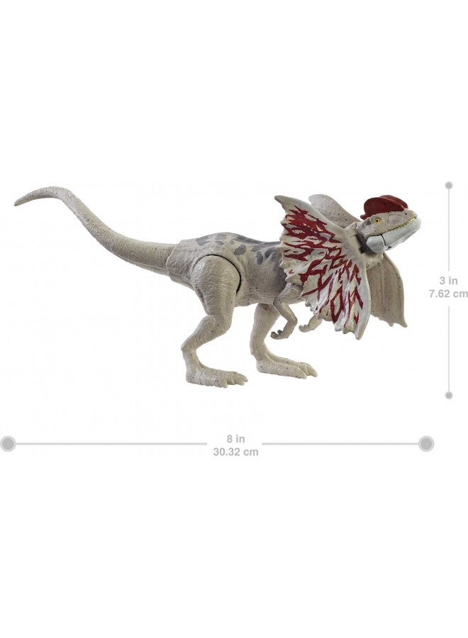 Jurassic World Toys Jurassic World Fierce Force Dilophosaurus Dinosaur Action Figure Movable Joints, Realistic Sculpting & Single Strike Feature, Kids Gift Ages 3 Years & Older - Image 5