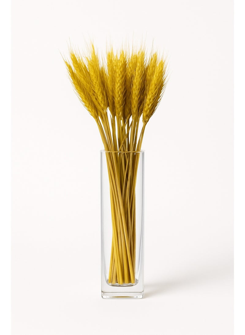Dry Wheat Grass Bouquet Natural Dried Flowers (lemon ginger 50 - Image 1