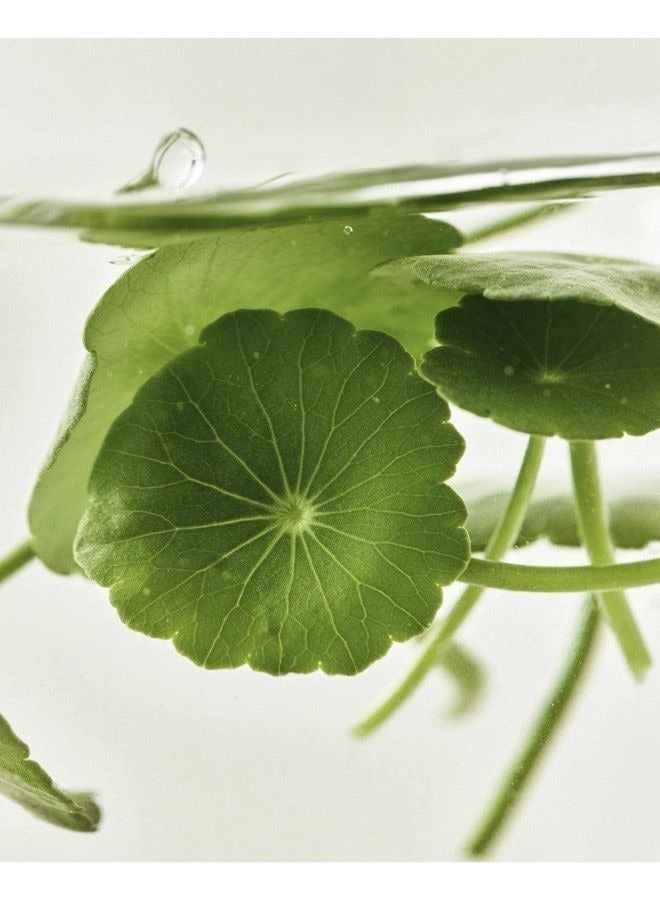 كوسروس سيروم لايت أون للوجه بخلاصة سنتيلا بلس فيتا سي، 30 مل - Image 2