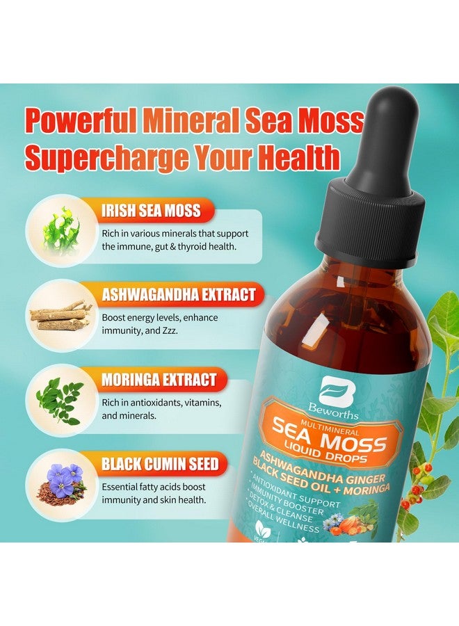 ب يستحق عبوة من قطعتين من قطرات الطحالب البحرية - سائل الكلوروفيل من الطحالب البحرية الأيرلندية مع زيت حبة البركة، وأشواغاندا، والمورينجا، والكركم، والبلسان، والخطمي، وجل الطحالب البحرية، لتنظيف الرئة، وإزالة السموم من الأمعاء، ودعم المناعة. - Image 2