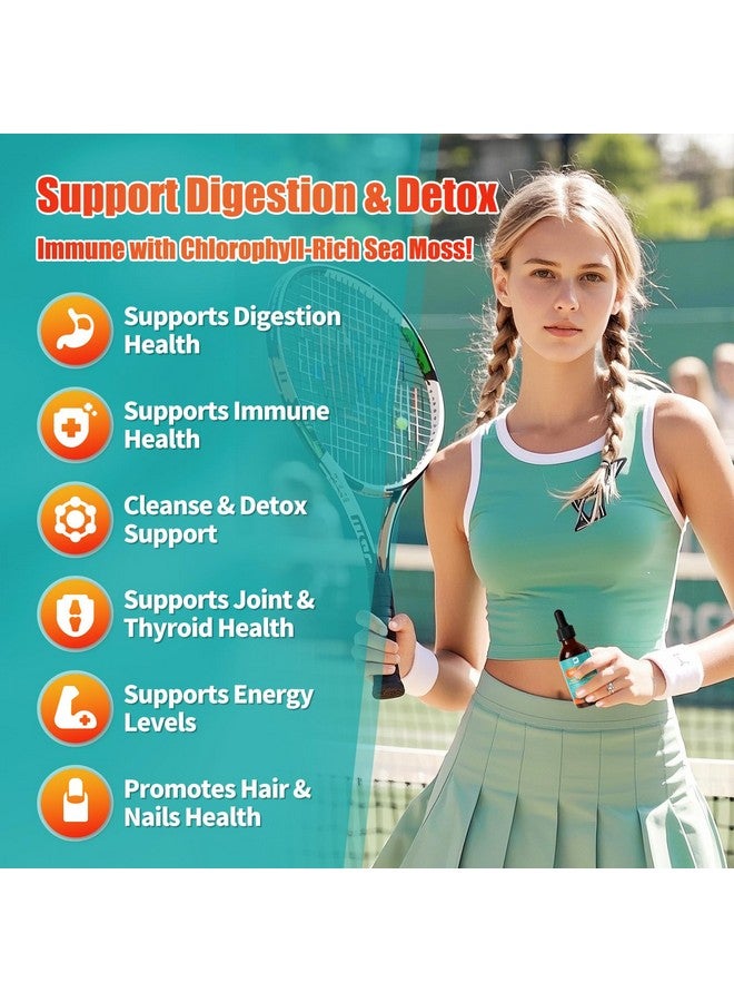 ب يستحق عبوة من قطعتين من قطرات الطحالب البحرية - سائل الكلوروفيل من الطحالب البحرية الأيرلندية مع زيت حبة البركة، وأشواغاندا، والمورينجا، والكركم، والبلسان، والخطمي، وجل الطحالب البحرية، لتنظيف الرئة، وإزالة السموم من الأمعاء، ودعم المناعة. - Image 4