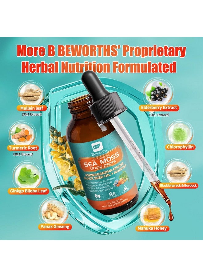 ب يستحق عبوة من قطعتين من قطرات الطحالب البحرية - سائل الكلوروفيل من الطحالب البحرية الأيرلندية مع زيت حبة البركة، وأشواغاندا، والمورينجا، والكركم، والبلسان، والخطمي، وجل الطحالب البحرية، لتنظيف الرئة، وإزالة السموم من الأمعاء، ودعم المناعة. - Image 3