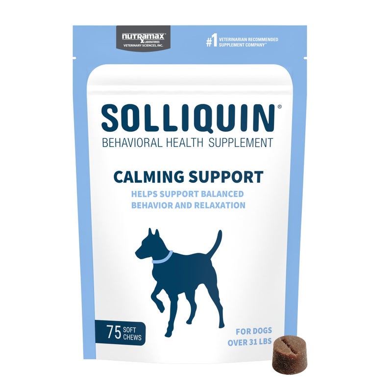 Nutramax Laboratories Nutramax Solliquin Calming Behavioral Health Supplement for Large Dogs - with L-Theanine, Magnolia/Phellodendron, and Whey Protein Concentrate, 75 Soft Chews - Image 1