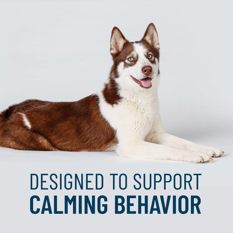 Nutramax Laboratories Nutramax Solliquin Calming Behavioral Health Supplement for Large Dogs - with L-Theanine, Magnolia/Phellodendron, and Whey Protein Concentrate, 75 Soft Chews - Image 2