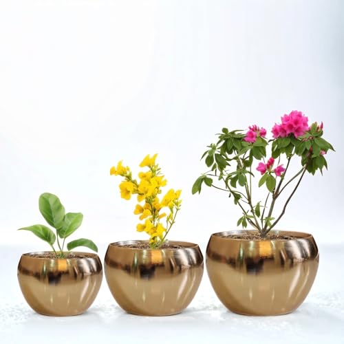 LAQA Metal Indoor Planter Pot Set of 3 – Premium Iron Plant Pots with Luxurious Gold Finish – Modern Decorative Pots in Different Sizes for Living Room, Office, Tabletop & Indoor Home Décor - Image 1